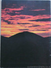 Gary Numan Warriors Tour Book